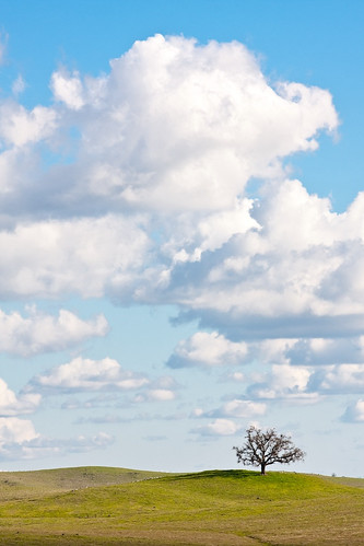 california blue sky tree clouds canon landscape final 40d 55250mm loneoakeldoradohills