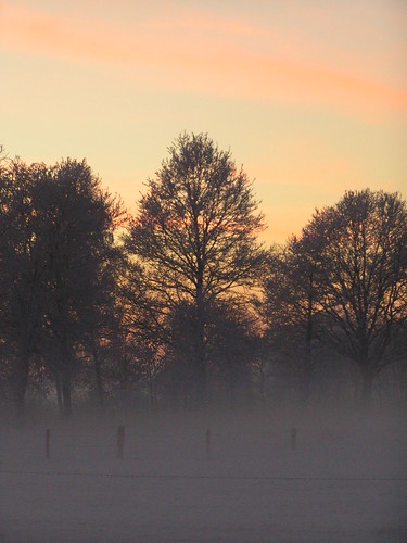 winter mist achterhoek landschap