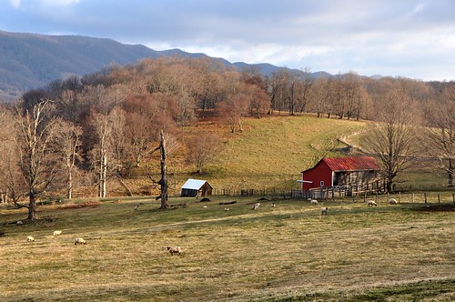 virginia bluegrass farm valley pastoral highlandcounty bluegrassva