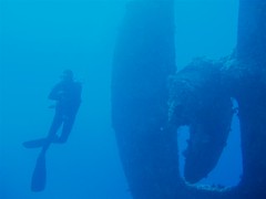 The Propeller of the upturned wreck Image