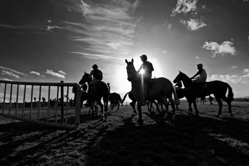 ireland sunset horse sun silhouette race canon fence eos jump sigma national 7d wicklow 1020 equine hunt tinahely