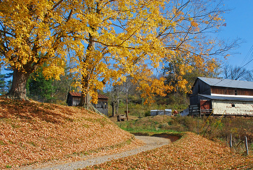 autumn ohio fall barns marietta route26 senicroute