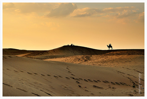 travel sunset vacation orange sun india landscape photography sand nikon dunes awesome silhouettes tourist traveller camel getty incredible registan sanddunes rajasthan uwa d90 2485mm incredibleindia gettyvacation delhitravel samsanddunes nikon2485mm nikond90 nikon2485mmf284d abhinavsinghai