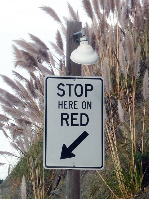 stop here on red sign