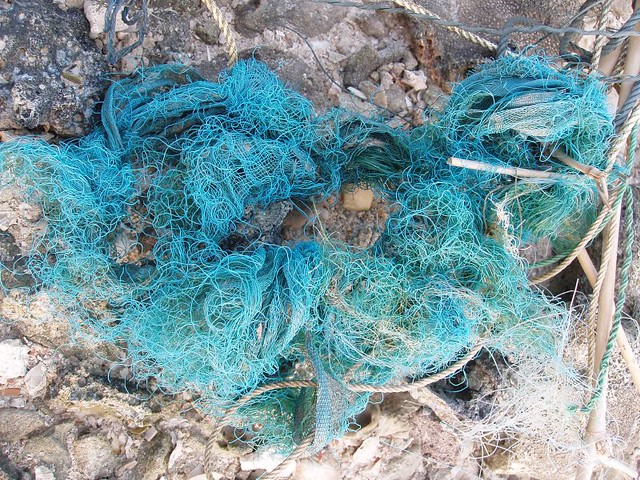 201102130489_turquoise-fishing-line