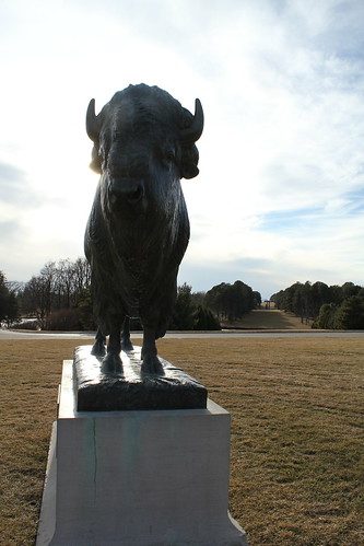 bronze buffalo nebraska lac lincoln publicart bison pioneerspark lincolnne lincolnartscouncil johnfharris artscenebyyou gertrudeuphamharris lincolnpublicartshow