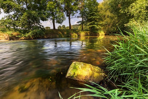 stone trees river flow calm outdoor romantic morning surface mirroring moravian water view valley tree sky scene rural nature natural leaf landscape green grass forest country clouds cloud beautiful background