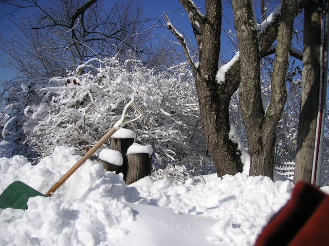 Snow shovel