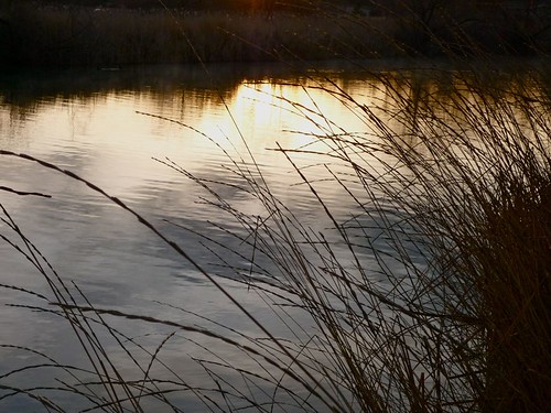 sun sunlight reflection water reeds pond idaho nampa wilsonponds trophypond