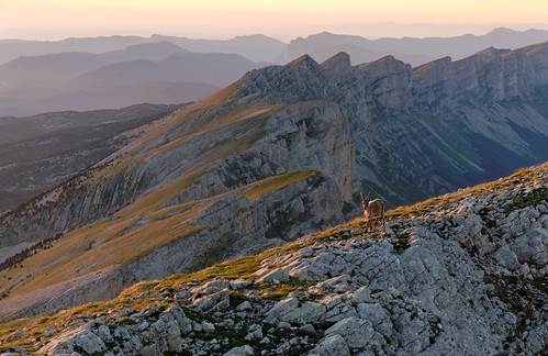 sunset mountain france alps montagne alpes nikon limestone vercors couchédesoleil chamois calcaire d80 grandveymont