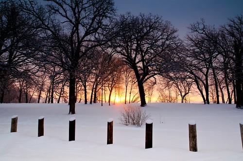trees snow color sunrise nikon hdr d7000