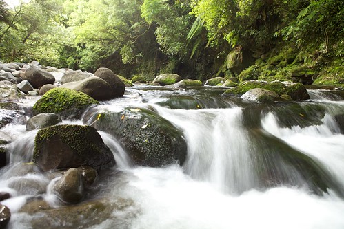 new green fall water canon river waterfall moss zealand 5d stratford taranaki egmont mkii 2470mm