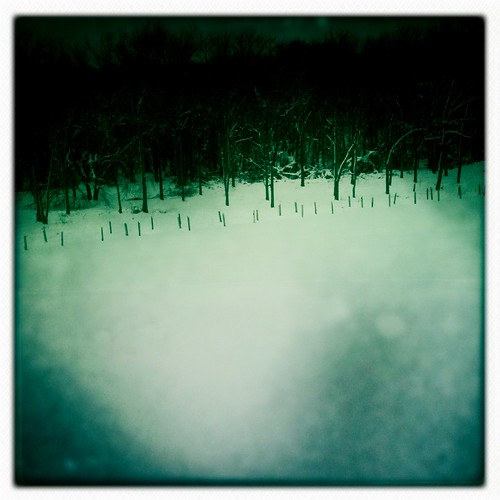 trees snow field maryland posts 3gs woodlawn iphone views200 johnslens hipstamatic inas1935film