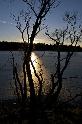 winter sunset lake cold reflection water forest austria abend nikon wasser natur eis waldviertel winterlandschaft aftersunset d300 zwettl