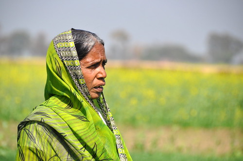 india field rural side agriculture climatechange climate bihar cgiar igp ccafs amkn cgiarclimate jamnapur