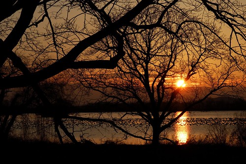 silhouette sunrise golden middlecreek