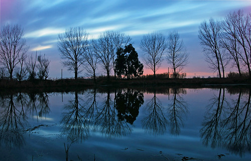 longexposure sunset sky lake tree water reflections mirror bluehour