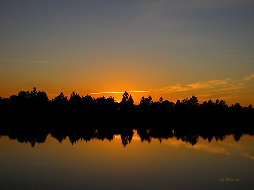 sky lake nature reflections landscape fire golden canonpowershot thompsonpark sunsetmiami zstincer silhouettestree