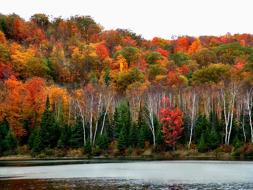 autumn ontario color colour fall banccroft