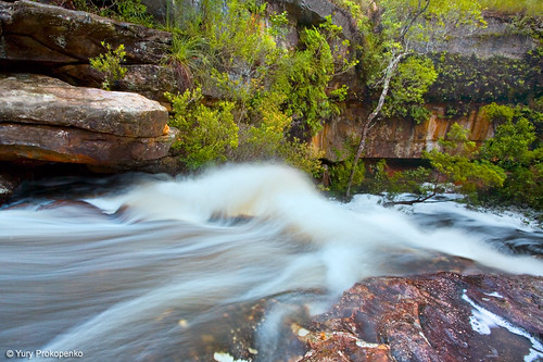 nature water waterfall sydney australia
