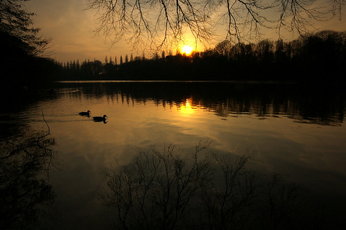 sunset home night dusk ducks roost lymmdam