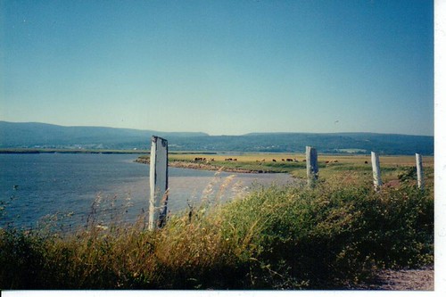 ocean canada beach fence view scene newbrunswick bayoffundy capeenrage