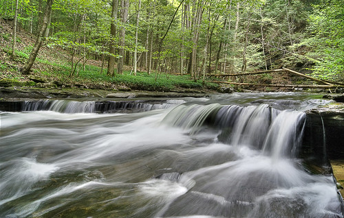ny green creek forest waterfall hiking upstate glen waterfalls naples gorge hiker fingerlakes grimesglen