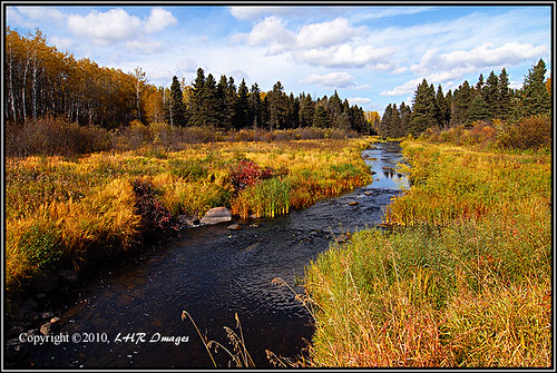 autumn canada fall creek stream bluesky manitoba foliage brook ridingmountainnationalpark larryricker jackfishcreek