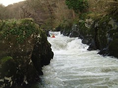 Greg on Cenarth Falls Image