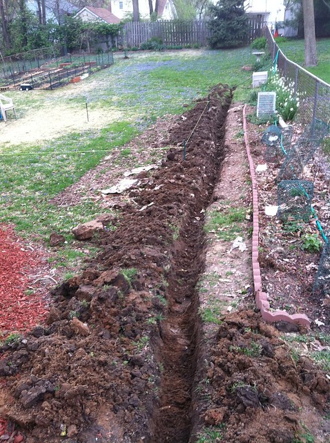 trench for drip irrigation halfway complete! | Flickr - Photo Sharing!