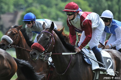 horses france racetrack racing jockey horseracing races thoroughbred courses chevaux eure hippodrome evreux balances hippisme pursang pesage