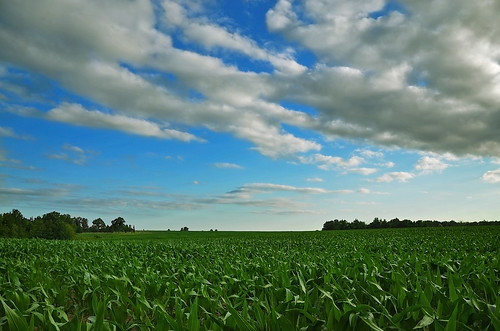 corn day cloudy missouri