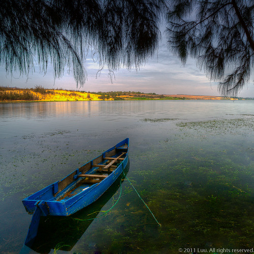 Blue Boat On Grassy Water