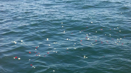 Scattering ashes of a loved one at sea is usually accompanied by a fitting, short service
