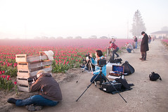 Flickrite invade the tulip fields