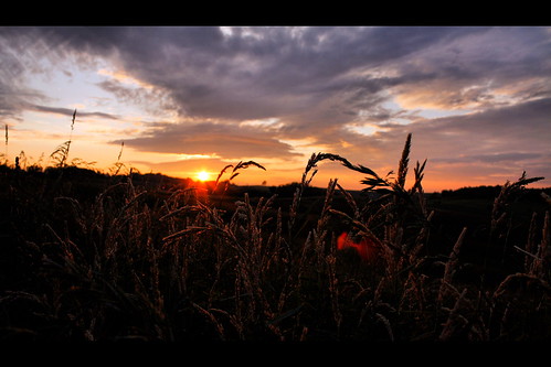 sunset sky orange grass clouds farm iowa baldwin taborhomewinery