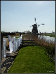 Dutch laundery