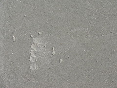 Ivy's footprint at the Beach