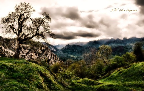 verde asturias paisaje cielo nubes árbol