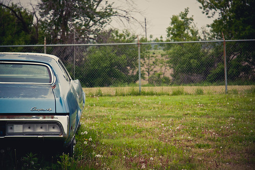ontario canada car vintage fence decay cougar wheatley