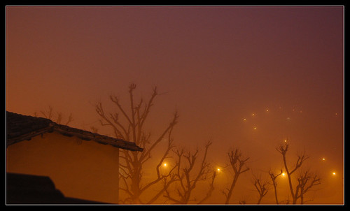 fog alberi night tetti nebbia notte lampioni lungocastellano