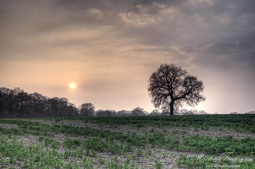 sunset tree clouds countryside spring nikon gimp hampshire hazy tamron hdr d300 photomatix 1024mm