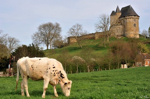 france castle cow ballon maine château 72 vache burg sarthe