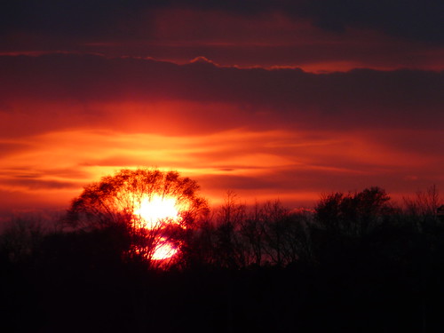 sunset tree virginia churchview sooc