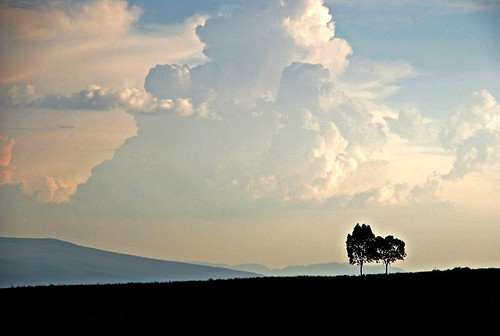 trees sky méxico clouds árboles cielo nubes guanajuato silao abigfave flickrdiamond 100commentgroup octaviobj ringexcellence