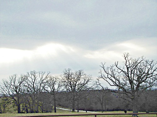 trees winter clouds rural missouri