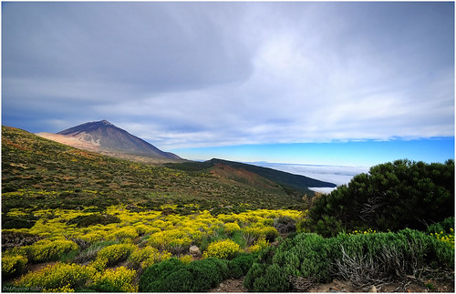 naturaleza color nikon paisaje nubes tenerife islascanarias d300 parquenacionaldelteide reservanatural