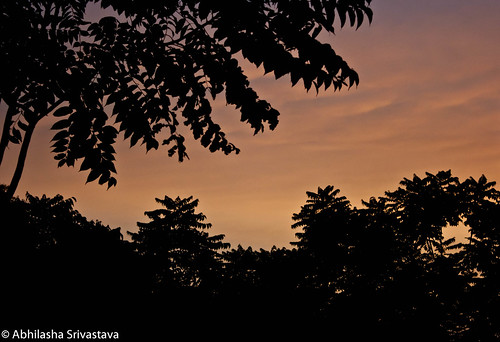trees sunset sky sun color nature leaves canon 400d rebelxti