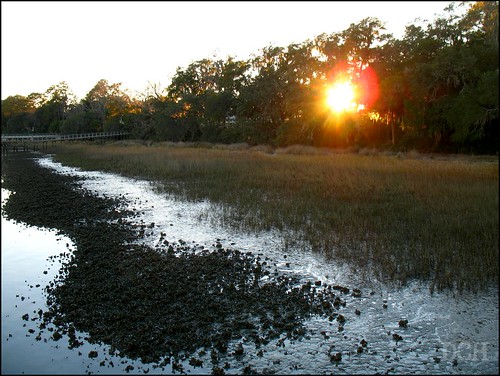 sunset usa sun river southcarolina marsh wetland lateafternoon settingsun philscamera lowcountry bluffton palmettobluff mayriver goldensunlight