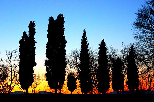 trees sunset italy panorama silhouette alberi canon landscape tramonto urbino marche albornoz linee sagome 600d canon600d fortezzaurbino